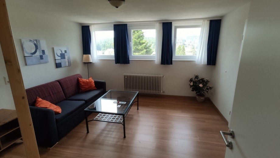 Premium-Doppelzimmer Wohnbereich Renditeobjekt Feldberg (Schwarzwald)