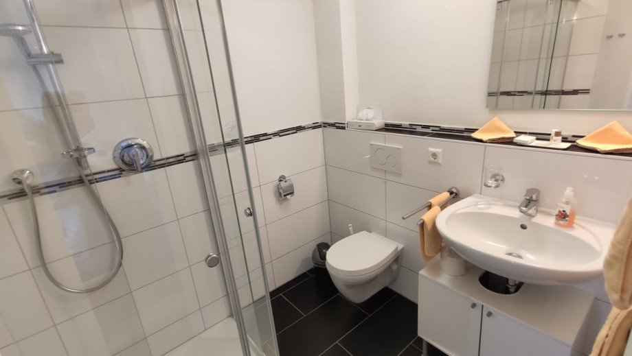 Badezimmer Renditeobjekt Feldberg (Schwarzwald)